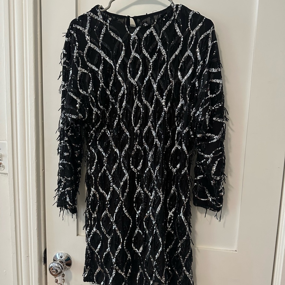 Zara Black and Silver Mini Dress